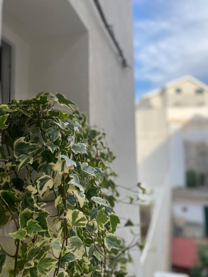Viesterooms Exteriör bild